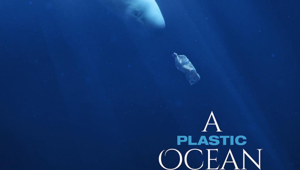 Immagine: Arriva in Italia il documentario 'A Plastic Ocean', in anteprima il 13 marzo presso l’ambasciata americana a Roma