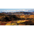 Immagine: Regione Piemonte e Mibact firmano a Roma l'accordo sul Piano Paesaggistco Regionale