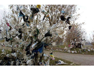 Tunisia, il contrasto ai sacchetti di plastica comincia dalla grande distribuzione
