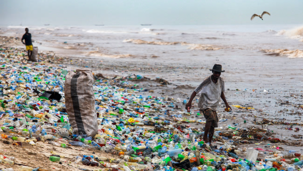 Immagine: La cultura occidentale  dello spreco si è diffusa in tutto il mondo