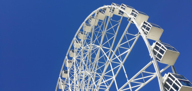 Si torna a parlare di ruota panoramica al Valentino. Il commento di Emilio Soave (Pro Natura Torino)