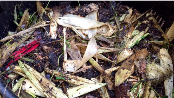 Immagine: Il CIC presenta negli Stati Uniti il Rapporto Annuale del Biowaste italiano