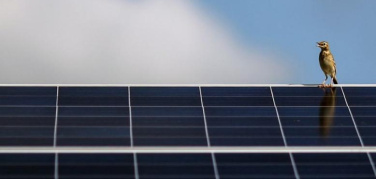 Fonti rinnovabili, cresce la capacità di produzione di energia a livello mondiale: nel 2016 +8%