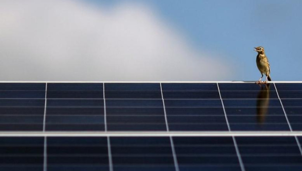 Immagine: Fonti rinnovabili, cresce la capacità di produzione di energia a livello mondiale: nel 2016 +8%