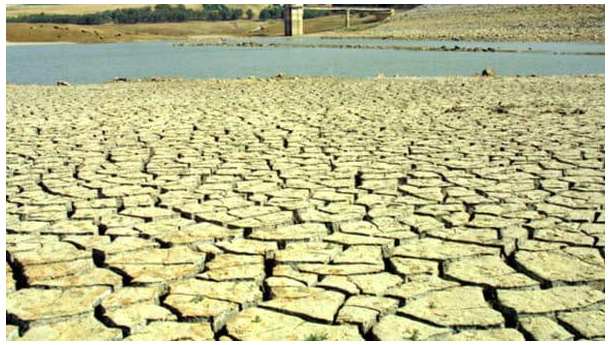 Immagine: Siccità, Coldiretti: al nord la peggiore crisi idrica da decenni