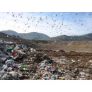 Immagine: Roma, rifiuti: a Malagrotta riaprono solo gli impianti di trattamento meccanico biologico
