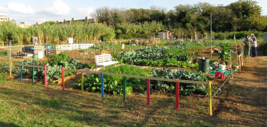 Verde urbano, Lipu pubblica documento per salvare la biodiversità e la salute dei cittadini nelle città