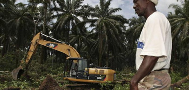 #Earthday, appello di 500 associazioni al presidente Juncker: “Ogni giorno in Europa degradati 500 ettari di terra fertile, serve una direttiva per proteggere il suolo!”