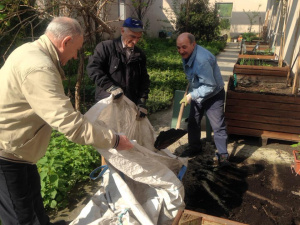 Orti urbani, da sabato 22 aprile al via i corsi di ortocultura di 'Orti Dora in Poi' organizzati da Innesto