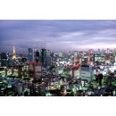 Immagine: Cosa rimane dopo la Giornata della Terra, a 47 anni dal primo Earth Day