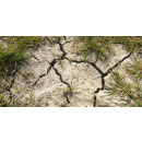 Immagine: Clima, Coldiretti: -47,4% di pioggia anche ad aprile. E dopo la siccità arriva il gelo