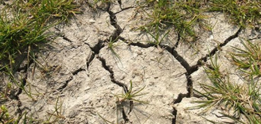 Clima, Coldiretti: -47,4% di pioggia anche ad aprile. E dopo la siccità arriva il gelo