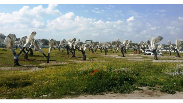 Immagine: Riforma VIA, associazioni scrivono al Governo: rinunci a valutazioni ambientali ‘farsa’