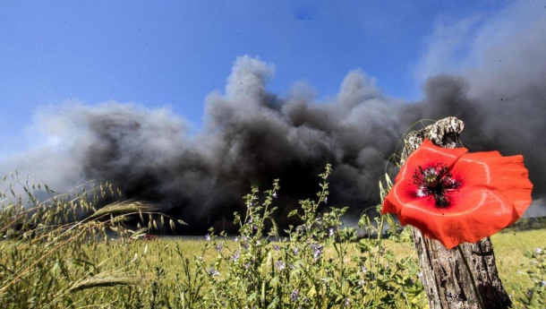 Immagine: Come la nube tossica della Pontina ha danneggiato 4mila ettari di coltivazioni