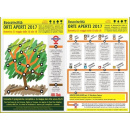 Immagine: Orti Aperti al Boscoincittà a Milano il 21 maggio