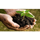 Immagine: CIC e la Città per il Verde: aperte le iscrizioni per il premio “Il Comune più organico”