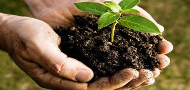 CIC e la Città per il Verde: aperte le iscrizioni per il premio “Il Comune più organico”