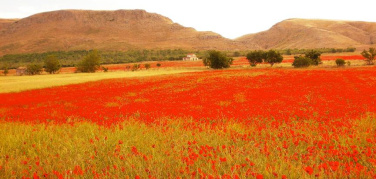 Online il primo rapporto sullo Stato del Capitale Naturale in Italia