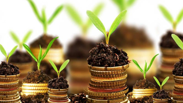 Immagine: Giornata mondiale dell'ambiente, a Torino il convegno “Città e società in transizione, verso uno sviluppo inclusivo e a basso impatto ambientale”