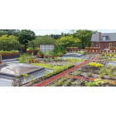 Immagine: Prima Stakeholder Forum, l'Università di Siena le imprese agroalimentari a confronto su tecnologie sostenibili