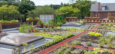 Prima Stakeholder Forum, l'Università di Siena le imprese agroalimentari a confronto su tecnologie sostenibili