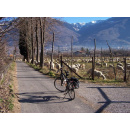 Immagine: Iniziative Fiab nei giorni 2, 3 e 4 giugno per la promozione della nuova ciclabile Susa - Trieste