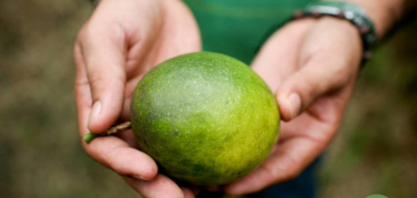 G7 Ambiente: con #ALL4THEGREEN dal 5 al 12 giugno a Bologna, oltre 70 iniziative sull’economia circolare