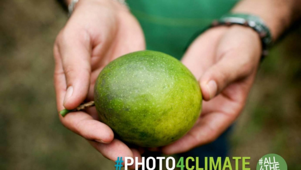 Immagine: G7 Ambiente: con #ALL4THEGREEN dal 5 al 12 giugno a Bologna, oltre 70 iniziative sull’economia circolare