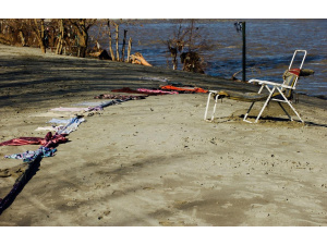 Torino, dal 5 all'11 giugno al via la VI edizione dell’Earthink Festival