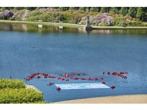 Greenpeace al G20 di Brema: 'Salviamo i mari dall'invasione della plastica'