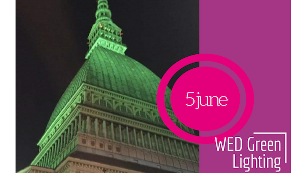 Immagine: Cinemambiente, ultimo giorno di festival a Torino in concomitanza con la Giornata Mondiale dell'Ambiente