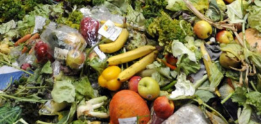 G7 Ambiente di Bologna, Italia e Stati Uniti insieme per discutere le azioni in campo contro lo spreco alimentare.