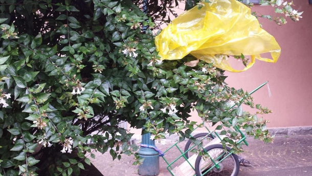 Immagine: Forse per troppo zelo la procedura d'infrazione all'Italia sui sacchetti