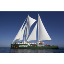 Immagine: 'Meno plastica, più Mediterraneo' al via da Genova il tour di Greenpeace