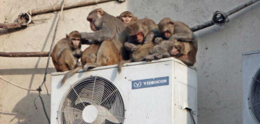 Caldo, Enea propone un decalogo e diretta Facebook per usare al meglio i climatizzatori salvaguardando comfort e spesa