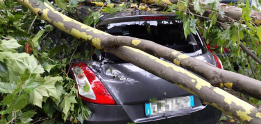 Maltempo e danni a Torino con vento a 78 kilometri all'ora in centro città