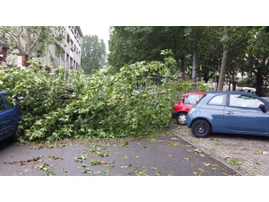 Maltempo e danni a Torino con vento a 78 kilometri all'ora in centro città