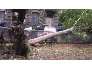 Maltempo e danni a Torino con vento a 78 kilometri all'ora in centro città