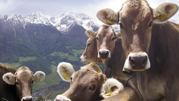 Immagine: Inaugurazione impianto Life Optimal 2012, energia elettrica dai rifiuti zootecnici dell’alta Valle d’Isarco in Alto Adige