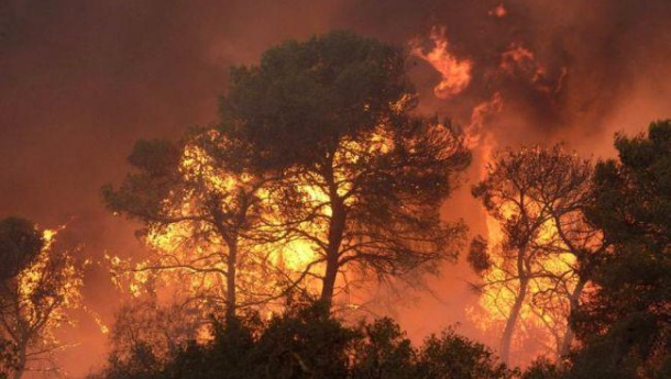 Immagine: Più incendi con i cambiamenti climatici nel Mediterraneo