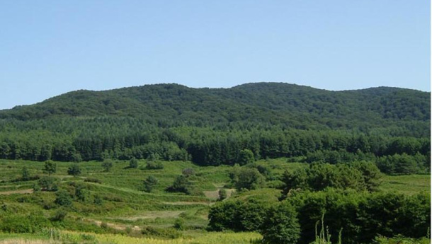 Immagine: Proteggere le foreste dai danni causati dall'ozono, al via il progetto MITIMPACT Alcotra