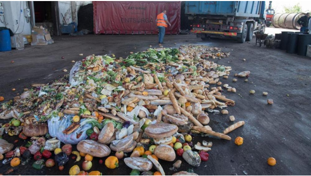 Immagine: Lotta contro lo spreco di cibo, 5 milioni di tonnellate di cibo all’anno finiscono nell’immondizia