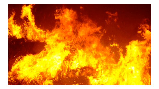 Immagine: Dossier incendi di Legambiente, il Lazio 4° regione per superficie andata in fumo nel 2017 con 1.635 ettari distrutti
