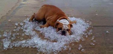 Clima: giugno 2017 è stato il quarto più caldo in 137 anni