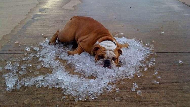 Immagine: Clima: giugno 2017 è stato il quarto più caldo in 137 anni