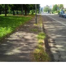 Immagine: Amsa, continuano a Milano gli interventi straordinari di diserbo dei marciapiedi con metodo meccanizzato ed ecologico