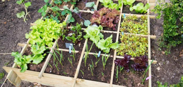 A Bologna il punto sull’agricoltura metropolitana nell’area del Mediterraneo