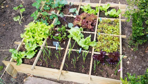 Immagine: A Bologna il punto sull’agricoltura metropolitana nell’area del Mediterraneo