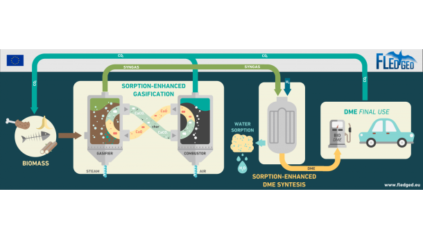 Immagine: Biocombustibili di seconda generazione per le auto del futuro. Il progetto Horizon 2020 “FLEDGED” coordinato dal Politecnico di Milano