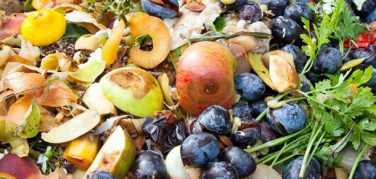 Piemonte, un anno di attività per il progetto Retrace che promuove l'economia circolare